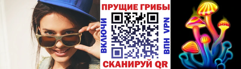 Псилоцибиновые грибы Psilocybine cubensis  Купить где  Тутаев 